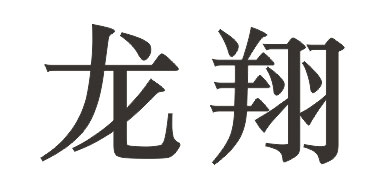 广东龙翔城市后勤保安服务有限公司